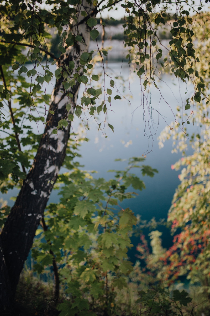 forest, flooded, reservoir, waterscape, cracow, outdoors, plant part, tree, krakow, leaf, plant, rocks, zakrz, day, 5K, growth, quarry, tree trunk, wek