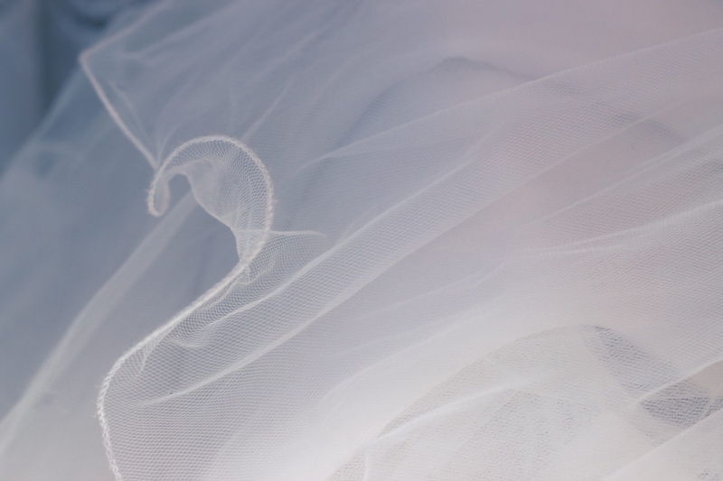 abstract backgrounds, indoors, white mesh, macro, animal, no people, close-up, textured, animal themes, pattern, wedding, net, full frame, sheer, white