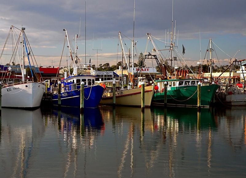 fishing boats, yacht, marina, industry, fishing industry, reflection, no people, boats, sailboat, trawlers, ships, cloud - sky, pole, moored, water, sky