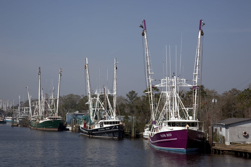 no people, coast, harbor, trawlers, moored, waterfront, sky, water, sea, sailboat, ships, shrimp, mode of transportation, transportation, clear sky, marine