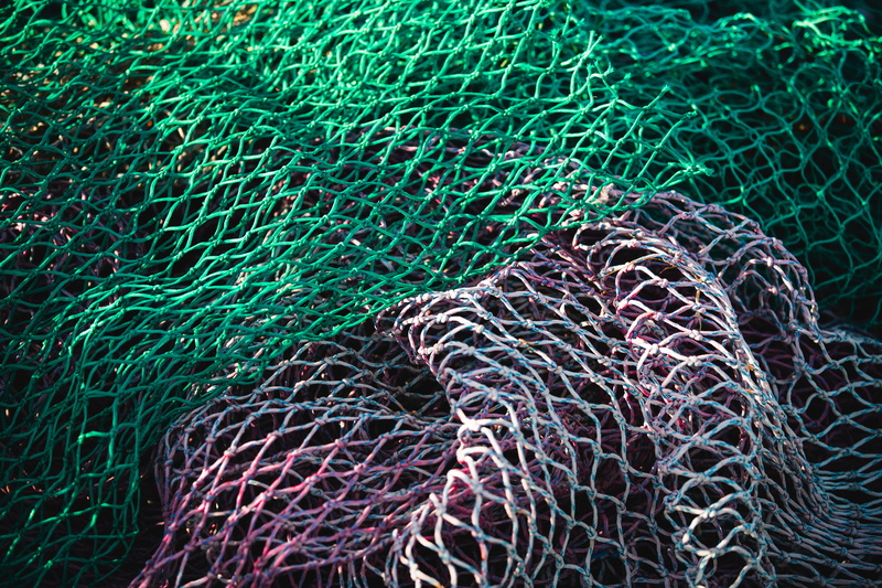 fish, 5K, sunlight, harbour, close-up, full frame, france, trawling, la turballe, turquoise colored, water, nature, blue, pattern, high angle view, netting