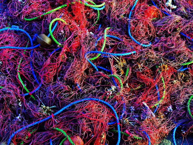 fishing nets, color, harbor, old, port, fishing industry, gear, mesh, net, blue, industrial, fishing net, equipment, multi colored, fish, sea, close-up