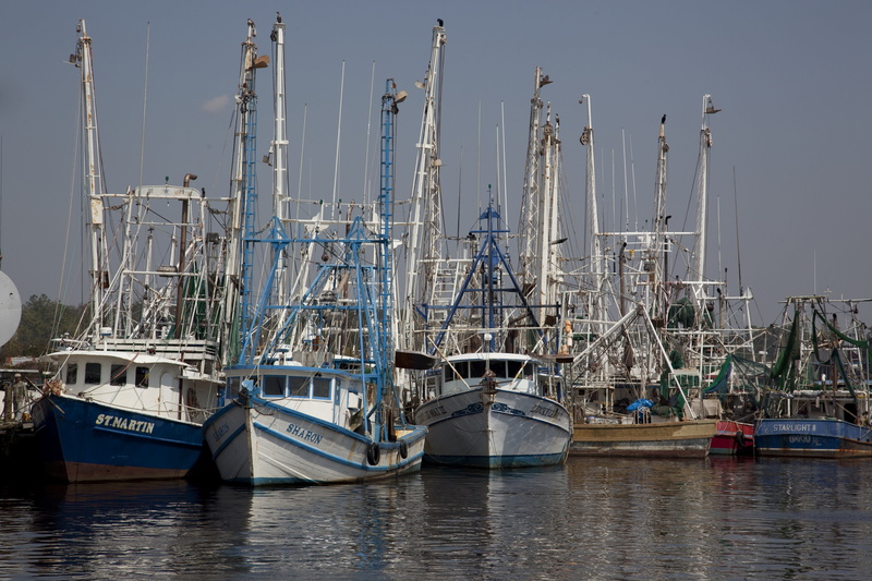 nature, Fishing, nautical vessel, day, harbor, net, mode of transportation, pole, Ships, sea, commercial dock, transportation, vessels, industry, mast