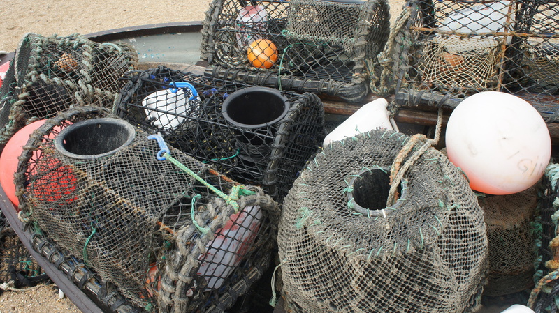 fish, no people, variation, nature, water, still life, ocean, fishing rod, fishing industry, stack, choice, day, green, traps, fishing net, 4K, cage, just