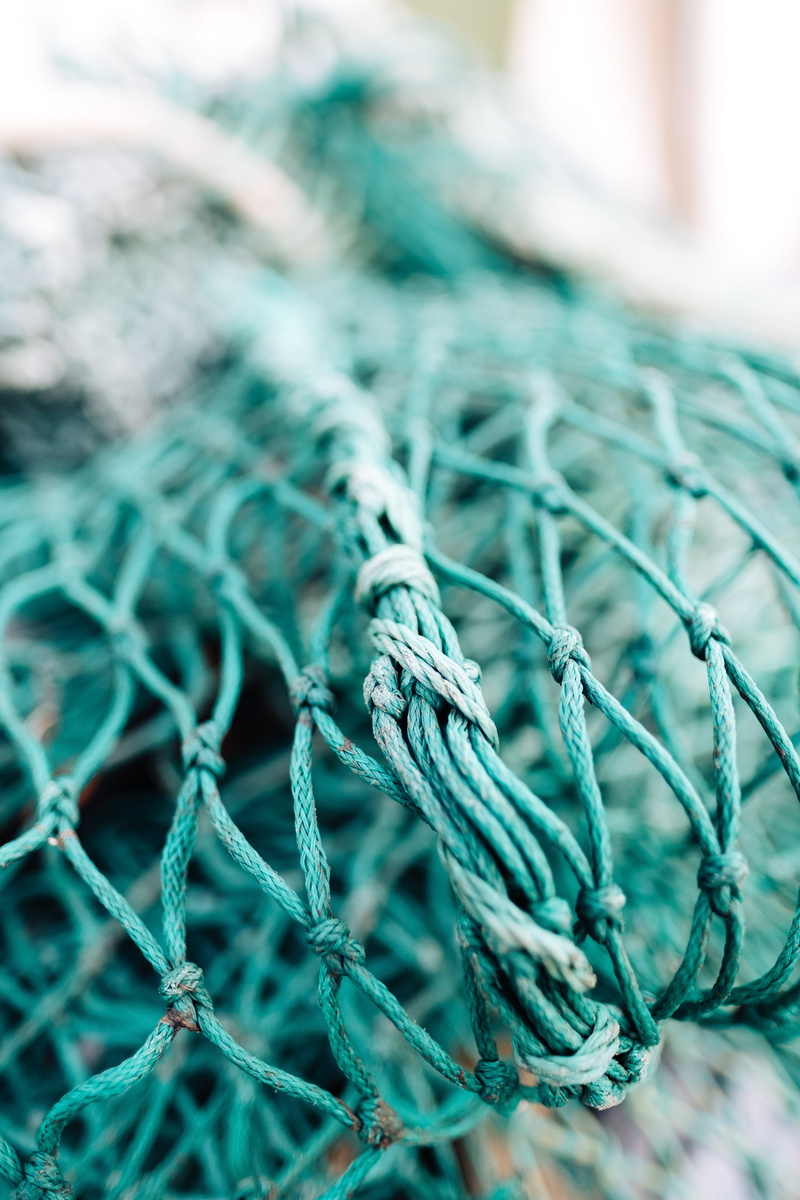 strength, fish, green, green color, complexity, photography, fishing, still life, fishing industry, shallow, day, 5K, selective focus, tangled, fishing net