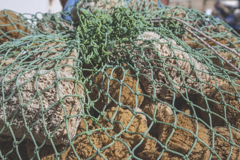 fishing Industry, focus on foreground, day, saltwater, retail, large group of objects, still life, for sale, sea sponge, sea, boat, food and drink, food