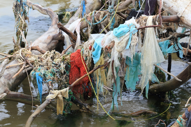 coast, tied up, brown, commercial fishing net, fishing, latvia, plastics, hanging, pollution, driftwood, outdoors, garbage, nature, 4K, wood - material