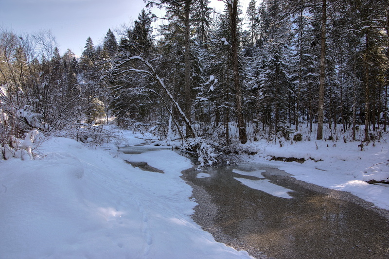 pine Tree, white, scenics, non-Urban Scene, landscape, christmas, white color, ice, tranquility, winter, 4K, river, leafless, beauty In Nature, blue, forest