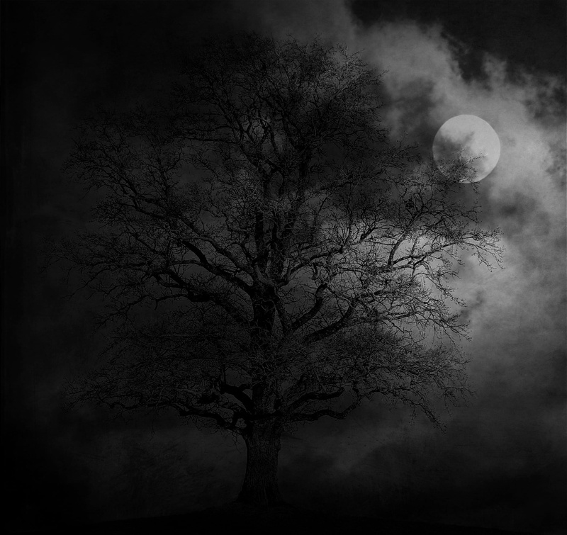 moon, tranquility, landscape, grayscale, branch, spooky, night, land, no people, mystical, beauty in nature, photo, leafless, plant, cloud - sky, full moon