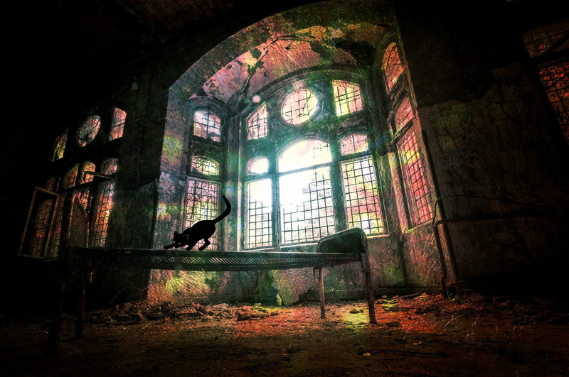 lapsed, built structure, setup, 1080P, cat, architecture, religion, old window, ailing, ruin, spooky, break up, decay, evil, demolition, mysterious, urban