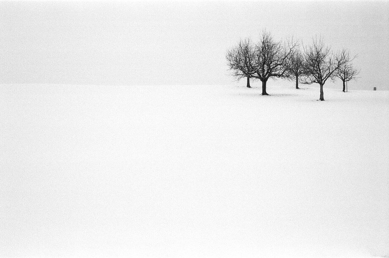Grain, prime lens, cold - Temperature, nature, Film, Snap, eyed, Ilford Delta, Landscape Photography, Capucho, tog, 35mm, Switzerland, landscape, white