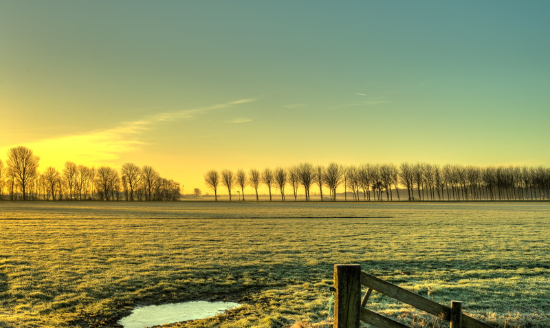 farmland, licht, forest, warm, skies, winter, polder, landscape, light, sunset, outdoors, trees, outdoor, weiland, beauty, grass, meadow, tree line, sunrise