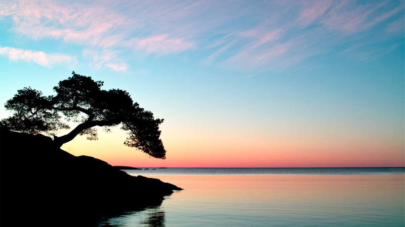 sunset, tree, sky, sea, water, orange color, horizon over water, beauty in nature, silhouette, reflection, horizon, no people, cloud - sky, idyllic, scenics - nature