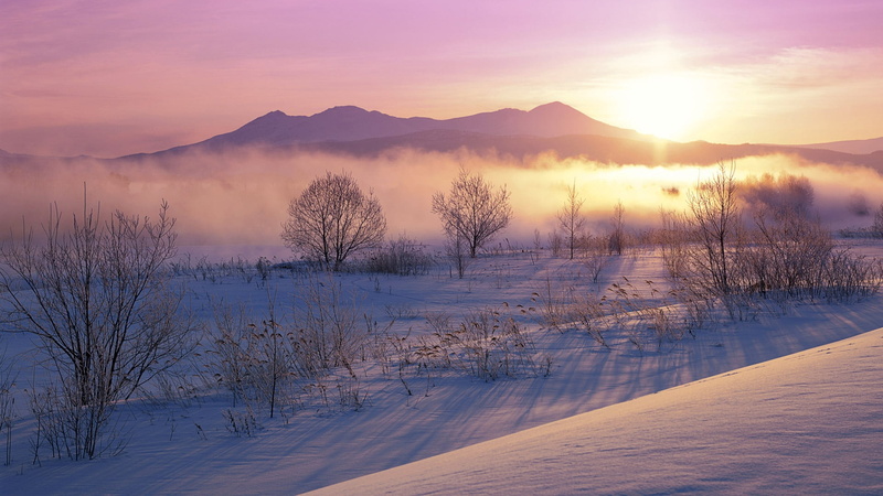 environment, mountain, ice, cold temperature, scenics - nature, nature, 1080P, backgrounds, beauty In Nature, morning, hill, forest, dawn, scenics, no People