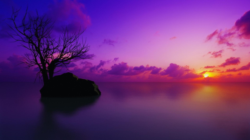 painting, twilight, dusk, sunset, nature, nature and landscapes, sea, violet, leafless, tree, sunsets, 1080P