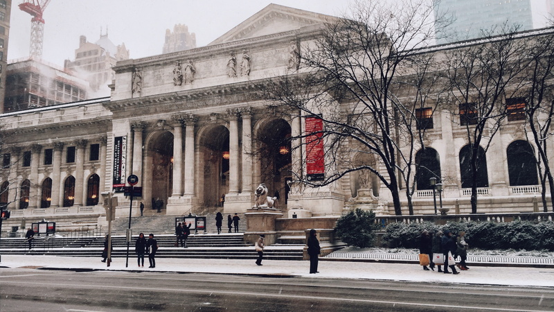 2K, outdoors, nature, architectural column, group of people, outside, concrete, women, snow, people, real people, pets, domestic, museum, city, white