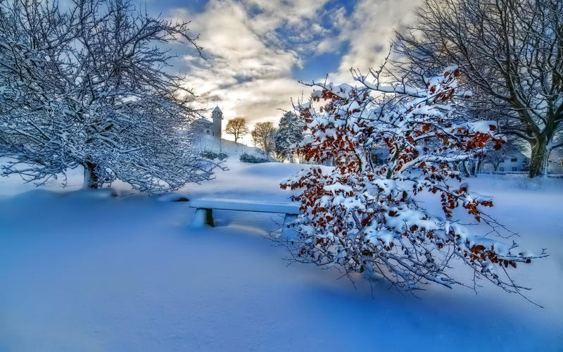 Trees, Sky, Sunset, Clouds, leafless, 1080P, Thick, tree, Snow, Winter