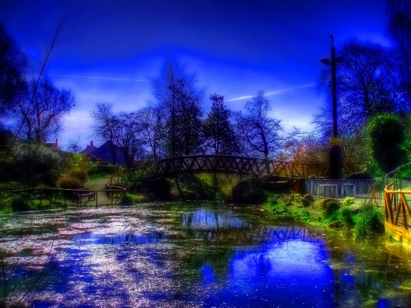 plant, illuminated, summer, park - Man Made Space, scenics, bridge - Man Made Structure, springtime, tranquil Scene, urban Scene, connection, nature, footbridge