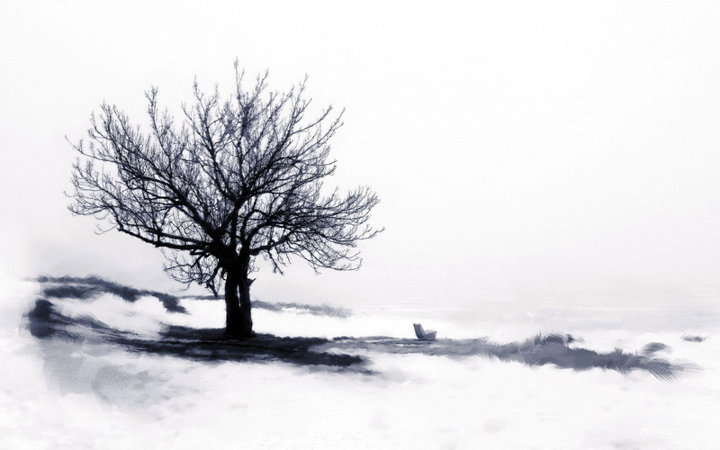 tree, 1920x1200, bench, artistic, surrounded, leafless, snow, drawing, 1080P, monochrome