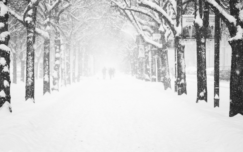 cold - Temperature, diminishing perspective, 1080P, woodland, architecture, guy, forest, season, residents, plant, winter nature, covering, christmas
