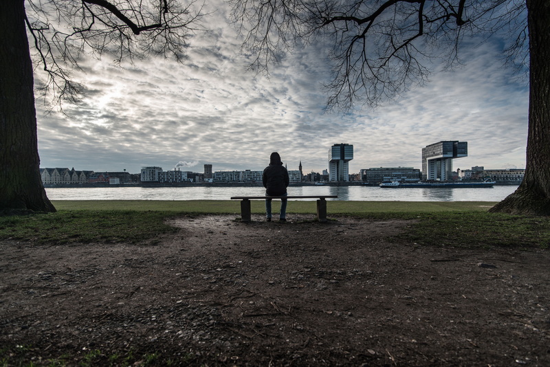 skyscraper, leisure activity, grass, sea, men, city, plant, sad, trees, fog, alone, leafless, view, rear view, outdoor, built structure, outdoors, building