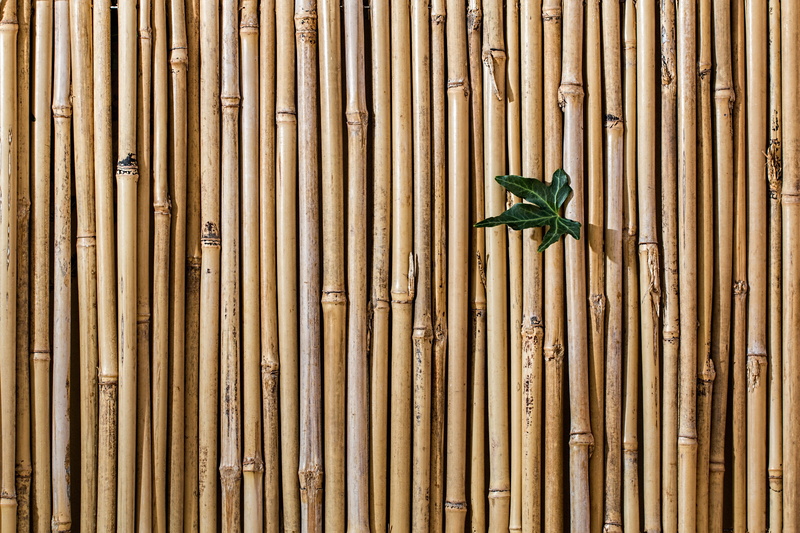 decorative, bamboo - material, green leaf, growth, green color, screen fence, close-up, palm leaf, decoration, straight, bamboos, boundary, fence, day