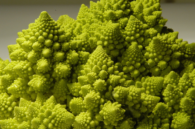 root vegetable, wellbeing, healthy eating, green color, no people, food and drink, geometric shape, close-up, spiral, indoors, broccoli, roman cabbage