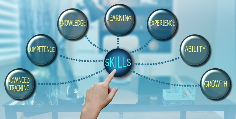 ability, how to, learn, blue, science, quality, innovation, coach, school, knowledge, business, indoors, dynamics, green, adult, skill, concept, mid adult
