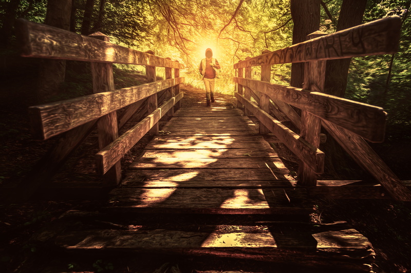 bridge, 5K, people, running, hood, Paranoia