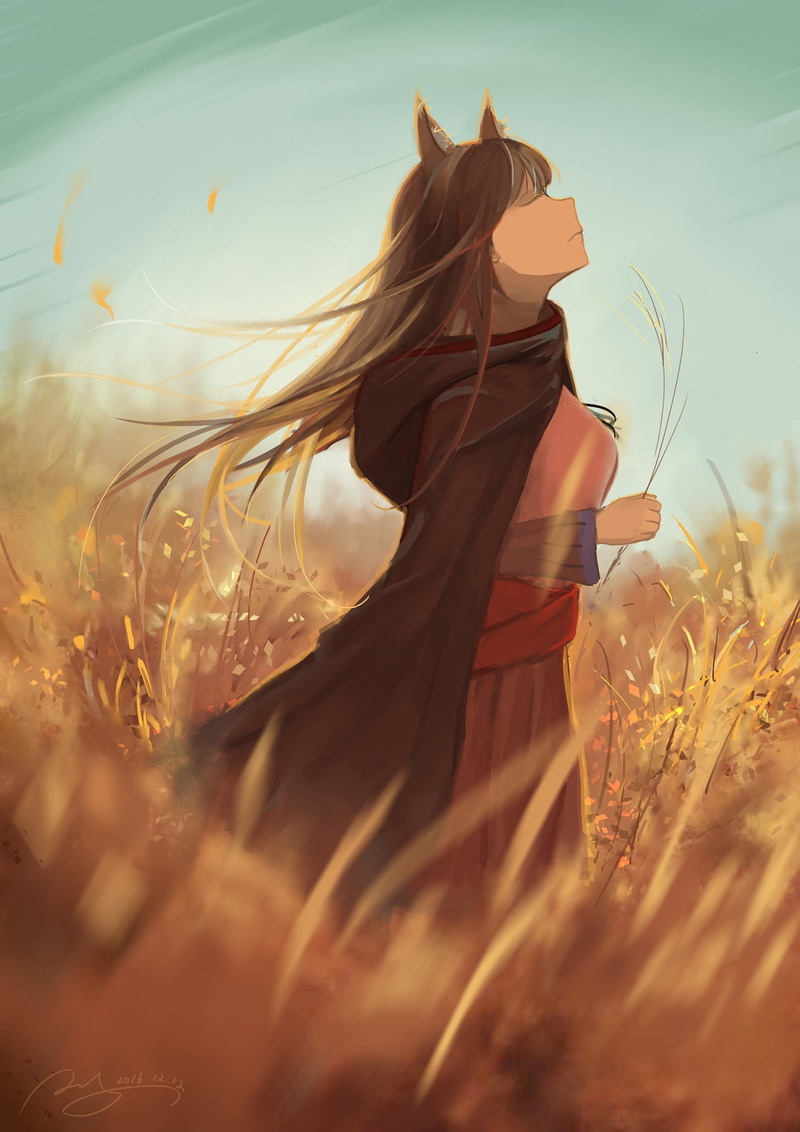 sunlight, sunset, summer, sky, one person, grass, clothing, Spice and Wolf, nature, young adult, anime girls, adult, land, hair, 720P, field, teenager