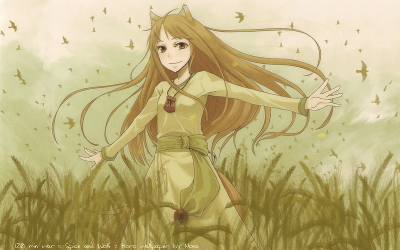 1080P, Spice and Wolf, Holo, anime