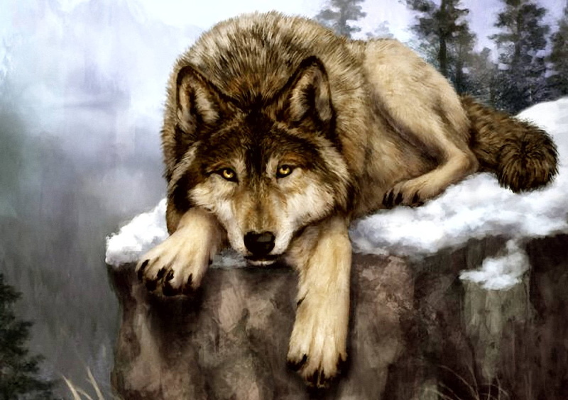 vertebrate, animals in the wild, 720P, animal wildlife, brown, portrait, snow, animal head, cold temperature, looking at camera, painting, tree, animal themes