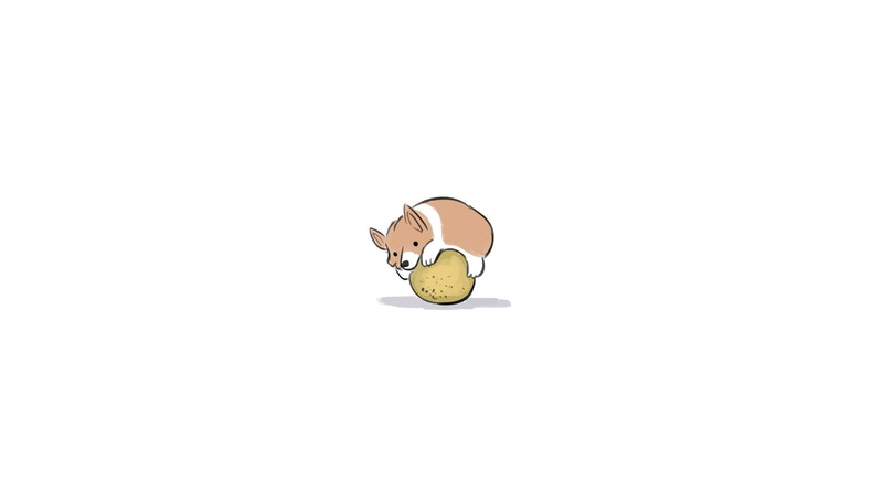 Corgi, animals, Pembroke Welsh Corgis, white background, 720P, dog, humor, artwork, minimalism