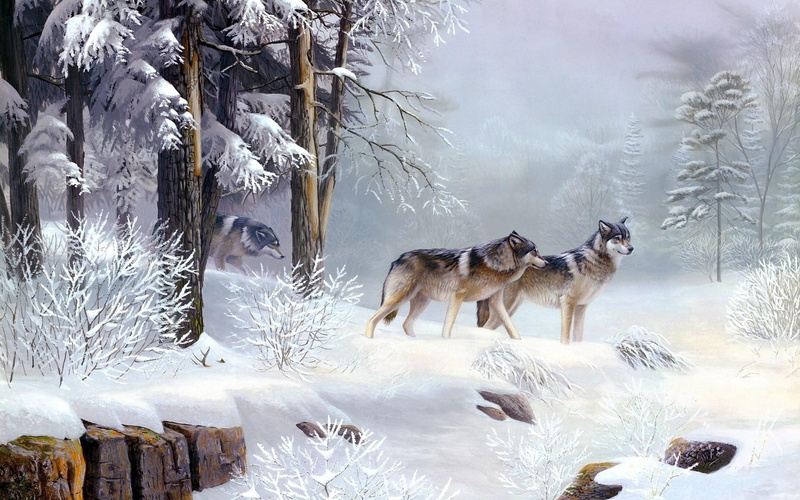 two, forest, animals, 1080P, dogs, snow, painting, wolf, brown, tree