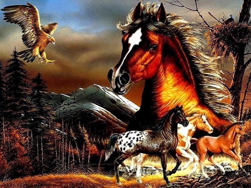 blackout0005, 2012, art, color, 480P, Eagle, hd, animals, frame, horses