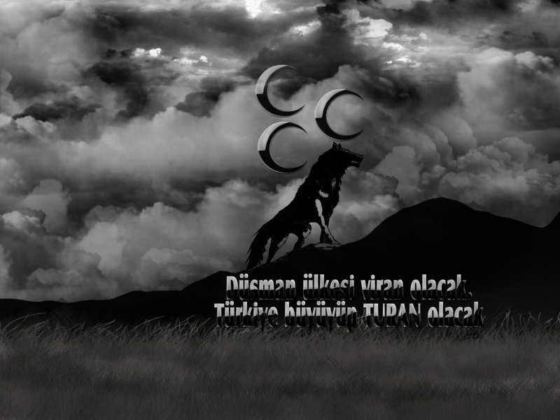 western script, outdoors, grass, land, one person, sky, day, illustration, wolf, architecture, text, landscape, 720P, Turkish, art, environment, motion