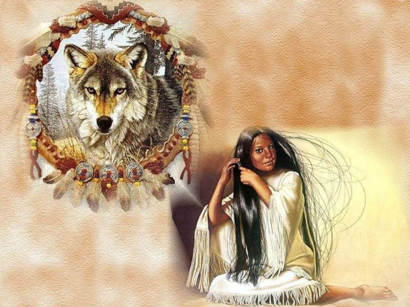 wolf, indian, maiden, dream, forgotten, catcher, people, indian maiden, 480P, hd, wolf in dream catcher, art
