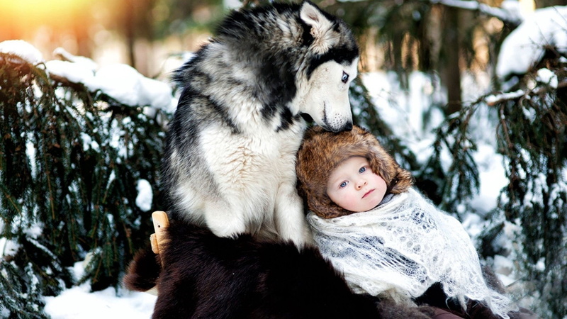 child, joy, people, friendship, forest, warm clothing, playful, purebred Dog, portrait, animal, caucasian Ethnicity, baby, headshot, black, winter, childhood