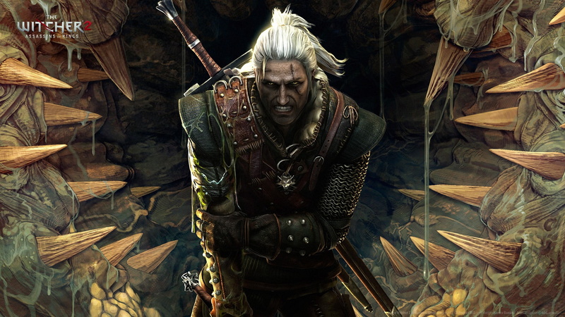 leaves, standing, adult, 1080P, day, front view, Geralt of Rivia, The Witcher 2 Assassins of Kings, mature adult, looking at camera, jacket