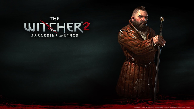 adult, warning sign, portrait, one person, males, The Witcher 2 Assassins of Kings, witcher, sign, text, communication, game, The Witcher, social issues
