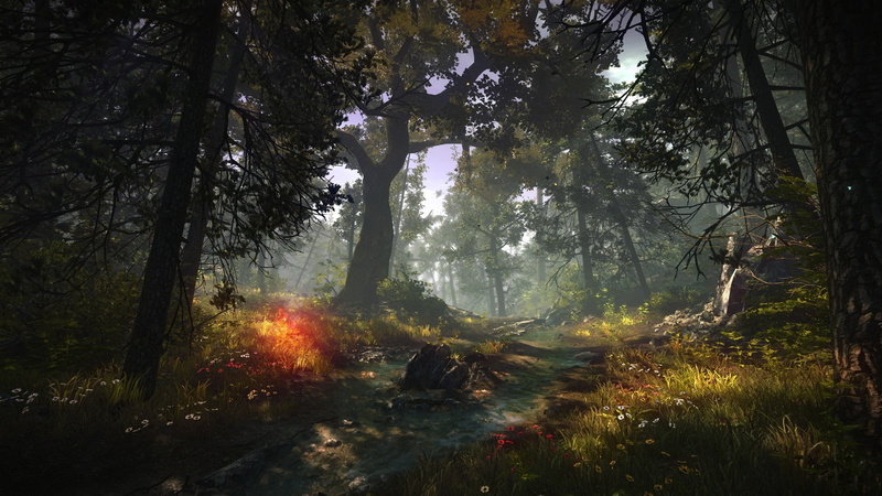 screen shot, The Witcher, nature, 1080P, forest, video games, The Witcher 2 Assassins of Kings