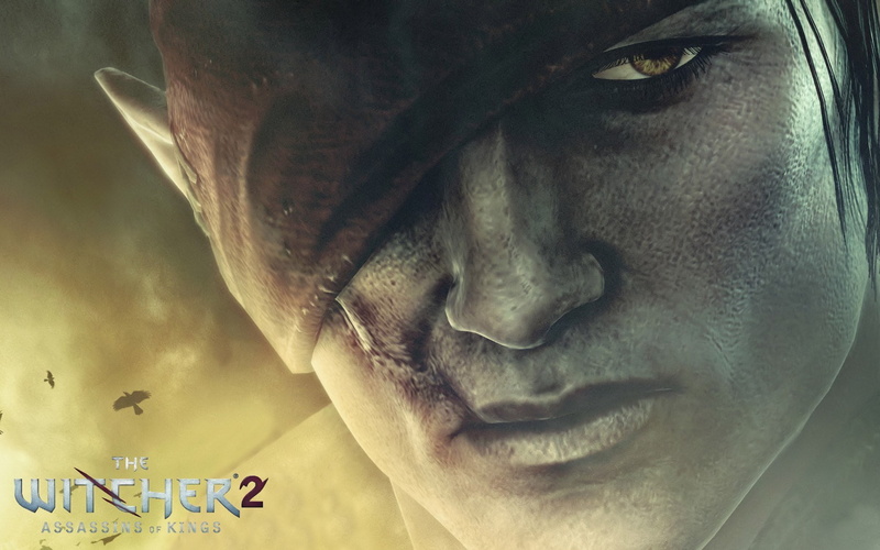 emotion, facial hair, body part, adult, The Witcher 2: Assassins of Kings, portrait, 720P, contemplation, front view, close-up, human body part, headshot