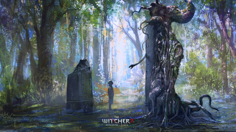 1080P, The Witcher 2: Assassins Of Kings, The Witcher