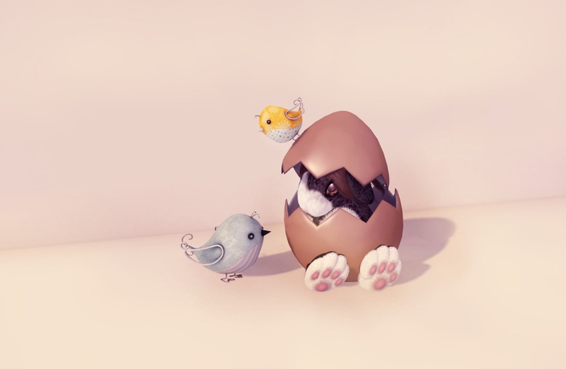 bird, holyday, animal, chicken - bird, representation, Birds, domestic animals, baby chicken, beginnings, Easter, young animal, animal themes, easteregg