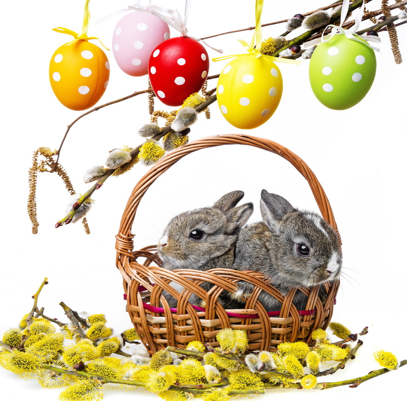 colorful, willow twig, branches, rabbit, spring, decoration, bunny, rabbits, painted eggs, Easter, flowers, Verba, eggs, 2K, basket