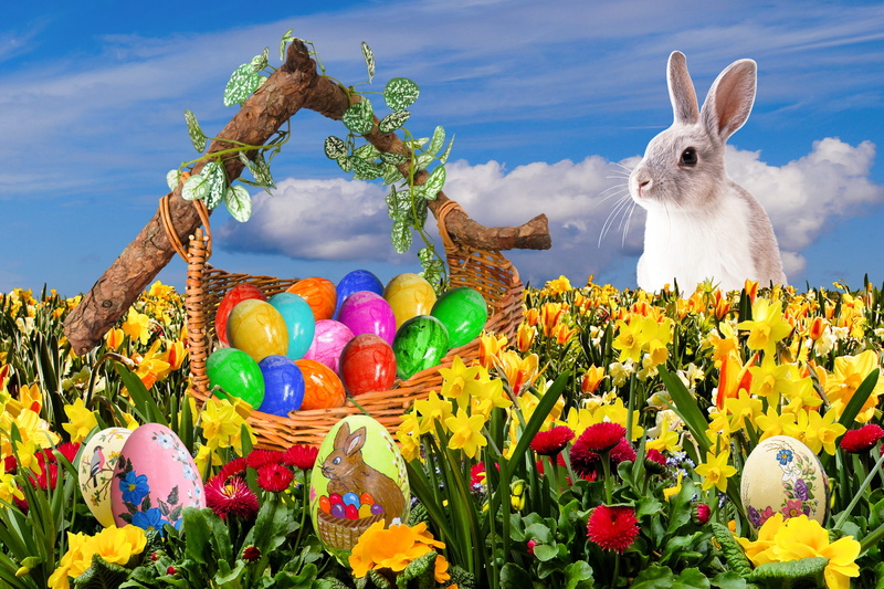 nest, colorful, egg, flowers, easter bunny, rabbit - animal, holiday, easter egg, 2K, representation, freshness, painted egg, spring, easter, flower head
