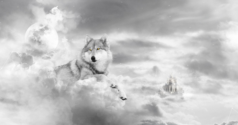 wolf, clouds, abstract, white, fantasy, 2K, animals, canis lupus, wild animals, black