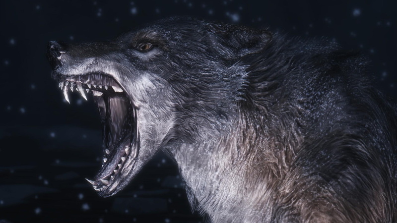 white, pack, black, spirit, wolves, 1080P, lone wolf, wolf, the pack, wild animal black, quotes, timber, mythical