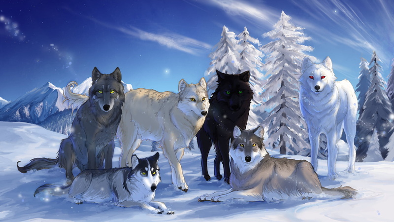 dog, mountain, frozen, fun, the sky, domestic, snow, land, no people, animal, ice, trees, wolves, purebred Dog, cold - Temperature, white, arctic, animal themes