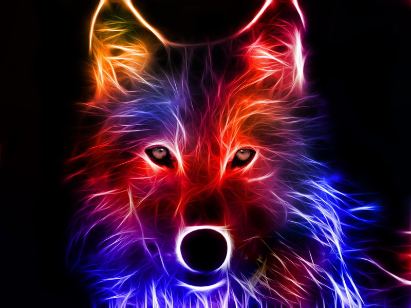 fire, portrait, purple, body part, emotion, human body part, red, negative emotion, black background, people, evil, celebration, wolves, night, fire - natural phenomenon